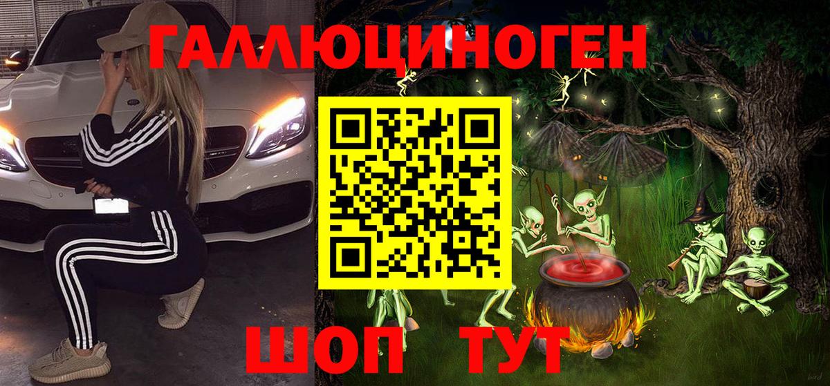 Псилоцибиновые грибы Psilocybe Чебоксары