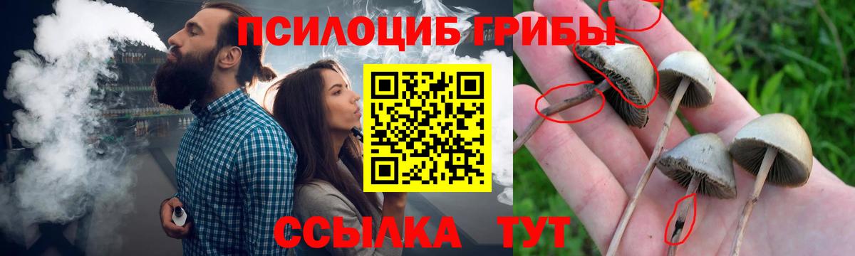 Чебоксары  Галлюциногенные грибы MAGIC MUSHROOMS  Вход с VPN 